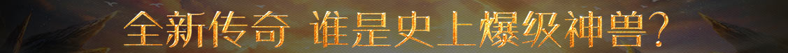 数字讯基金管理